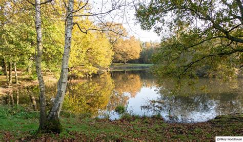 Thorndon Country Park Fishing Fishing In Brentwood Brentwood Visit