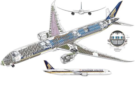 Boeing 787 Dreamliner Cutaway Drawing In High Quality