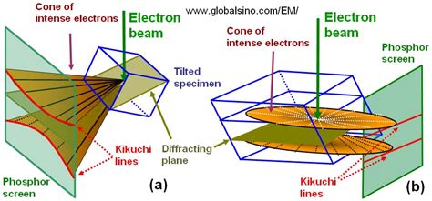 Electron Backscatter Diffraction Ebsdbackscattered Kikuchi