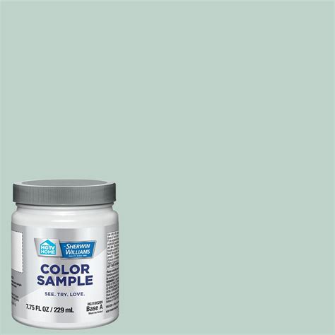 Hgtv Home By Sherwin Williams Waterscape Hgsw2307 Paint Sample Half