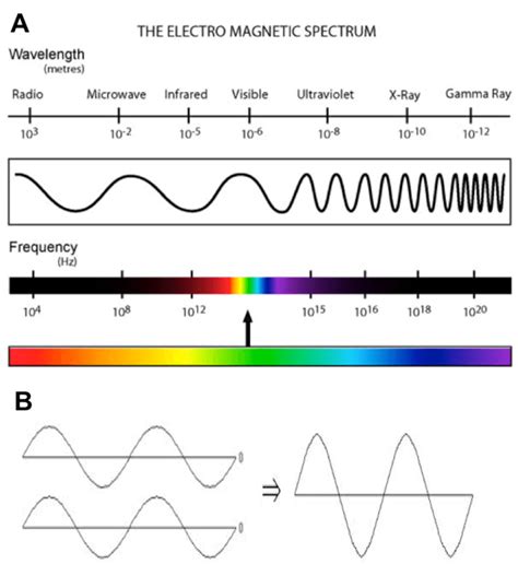 A Electromagnetic Spectrum Two Main Characteristics Of Download Scientific Diagram