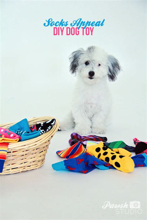 Diy Dog Toys 3 Diy Sock Dog Toys Pawsh Magazine