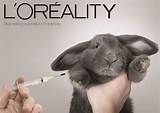 Photos of Animal Makeup Testing