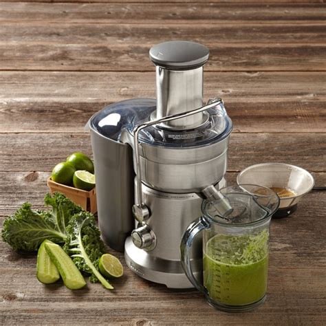 Top 10 Best Fruit And Vegetable Juicers Of All Time Hubpages