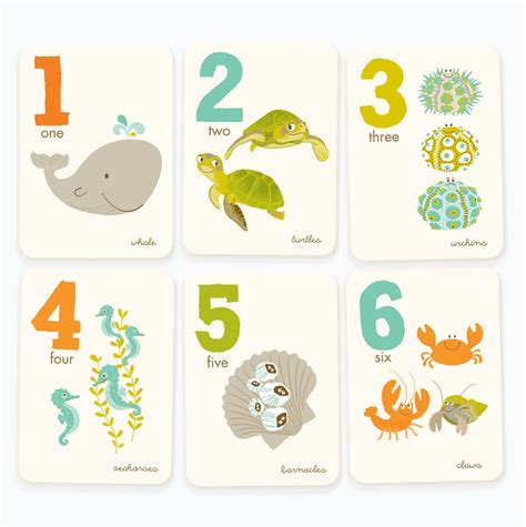 Counting Flash Cards Numbers Wall Art Number Flash Cards Etsy
