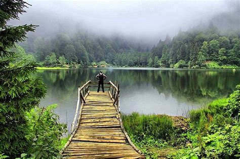 Artvin Karagol Picture Artvin Karagol Photo Artvin Karagol Wallpaper