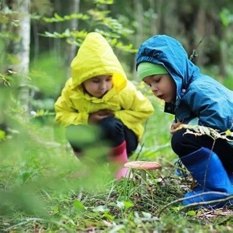 The History Of Forest Kindergarten In The Uk Learning Through Landscapes