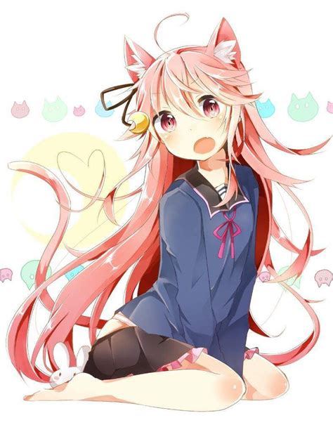 Kawai Neko Loli Anime Amino