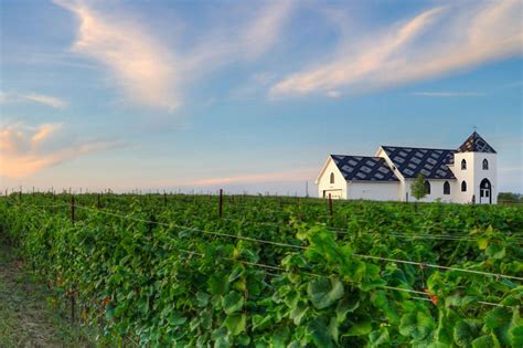 The Top 15 Wineries In Ontario