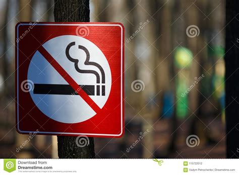 No Smoking Sign In The Park. Stop Smoking Concept, Smoking Free Stock Photo - Image of circle 