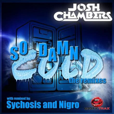 Josh Chambers So Damn Cold The Remixes 2014 320 Kbps File Discogs