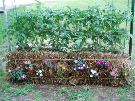 Gardening Straw Bale Gardening