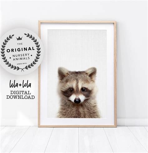 Raccoon Print Baby Animal Woodland Animals Wall Art Nursery Etsy