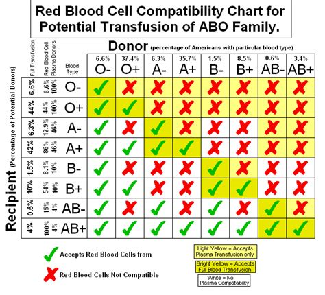 Blood Type Punnett Square Worksheet