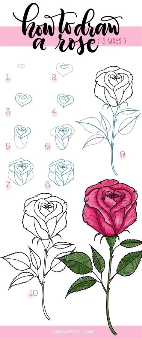 Roses Drawing Step By Step