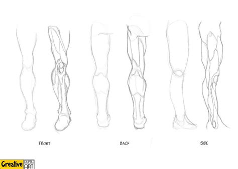 Basics Part 3 Drawing Legs Human Drawing Drawings