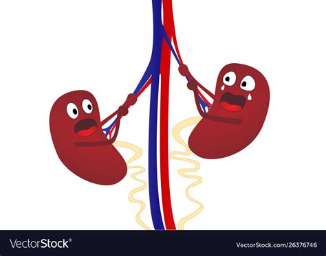 Kidney Disease Nephroptosis Two Cartoon Kidneys Vector Image
