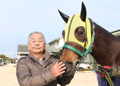 The hankyu hai (japanese 阪急杯) is a grade 3 horse race for thoroughbreds aged four and over, run in february over a distance of 1400 metres on turf at hanshin racecourse. 【阪急杯】福島師 豊ダイアナで引退花道期待「いい競馬を ...