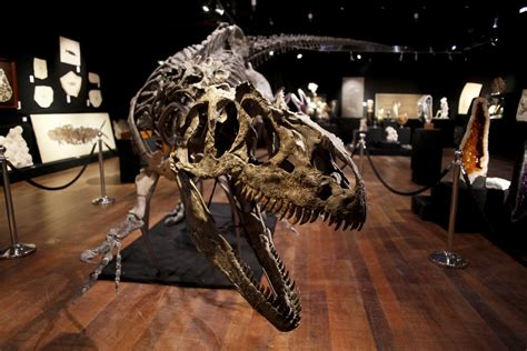 The Top Ten Dinosaur Discoveries Of 2020 Realclearscience