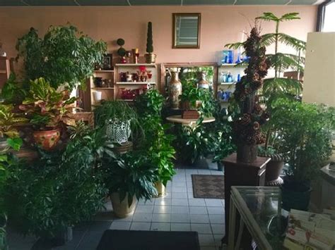 We did not find results for: Blaine MN Floral Shop 55434 Anoka