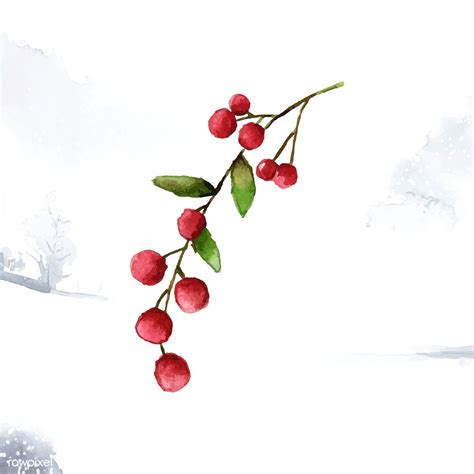 Festive Watercolor Christmas Berries