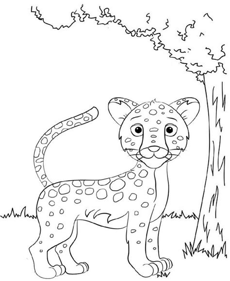 Eight Fun Baby Jaguar Coloring Pages For Kids Coloring Pages