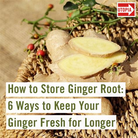 How To Store Ginger Root Ways To Keep Your Ginger Fresh For Long