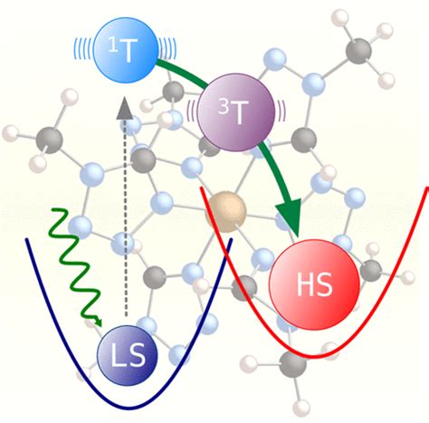 Theoretical Study Of The Light Induced Spin Crossover Mechanism In Fe