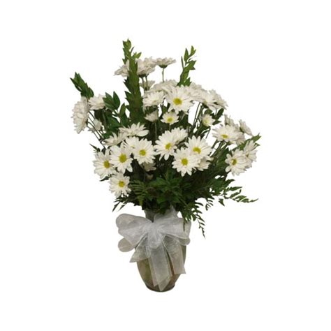 Here Is A Beautiful White Daisy Arrangement The Daisy Flower Is Simple