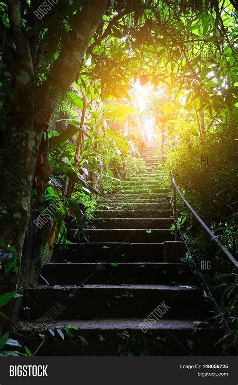 Stair Forest Light Dark Theres Image And Photo Bigstock