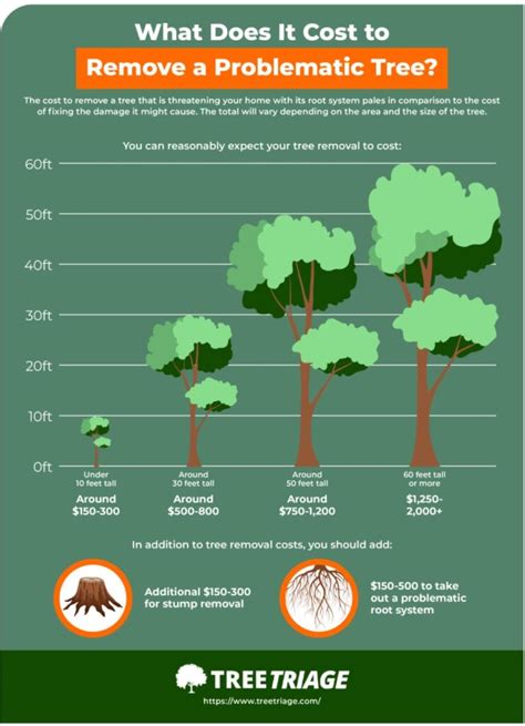 How Much Does Tree Removal Cost The Average Homeowner