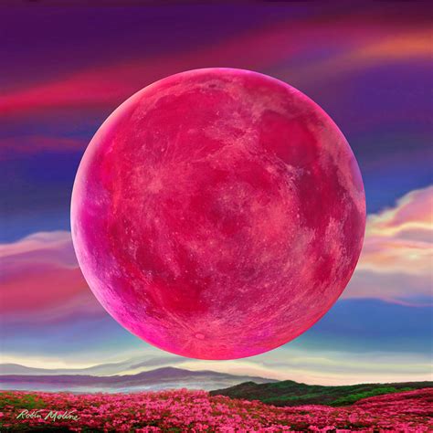 Full Pink Moon Digital Art By Robin Moline