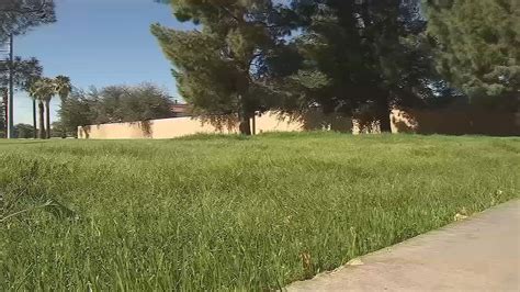 Chandler Approves Grass Removal Rebate Increase 2 More Programs To