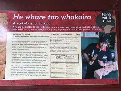 Ultimate Guide To Maori Carving At Hells Gate Rotorua