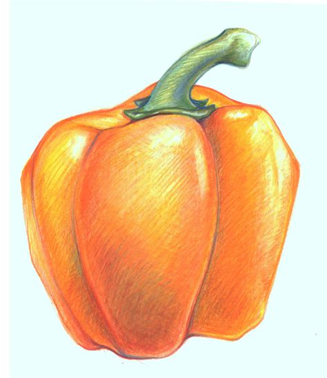 Colored pencil lessons (the virtual lnstructor). Marie Dauenheimer's Art and Anatomy Blog: Vibrant Drawings ...