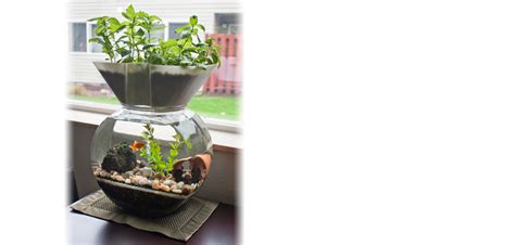 Aquaponic Herb Garden How To Build Your Organic Gardening Cruise