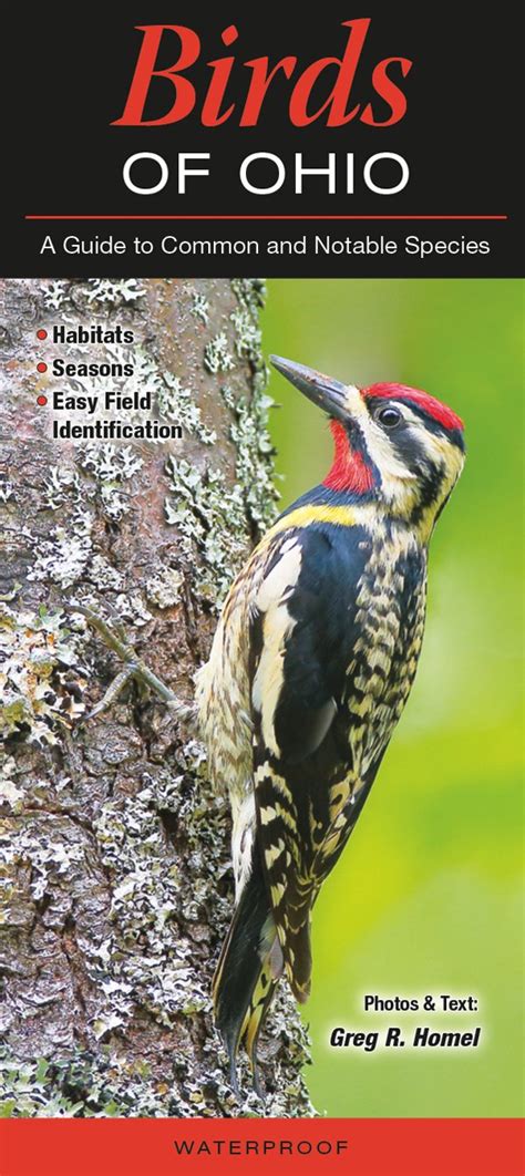 Birds Of Ohio A Guide To Common And Notable Species Greg R Homel