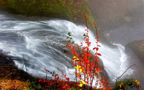 Wallpaper Id 1850889 Fall 1080p Creeks Landscape Moss Red