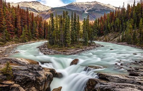 Photo Wallpaper Forest Trees River Waterfall Canada Jasper