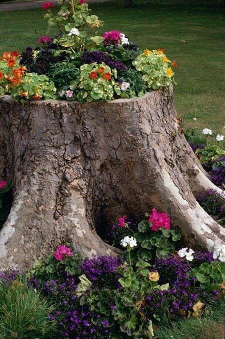 14 Best Decorating Tree Stump Images Tree Stump Garden Garden Projects
