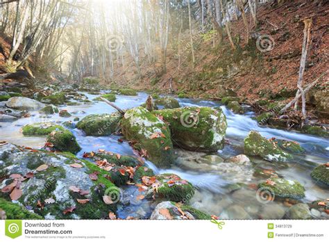Full Flowing Stream Stock Image Image Of Creek Outdoor 34813729