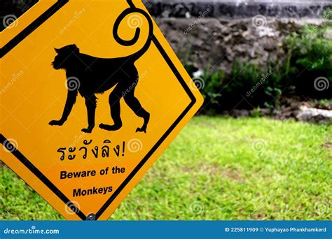 Warning Sign Beware Of The Monkeys Stock Image Image Of Danger