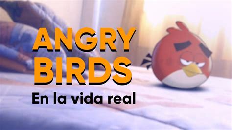 Angry Birds Reales Angry Birds Real Life Youtube