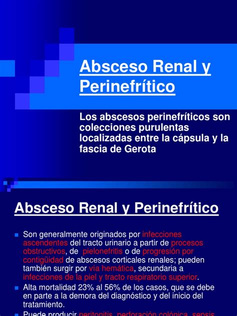 Absceso Renal Y Perinefrítico Pdf Microbiología Inmunología