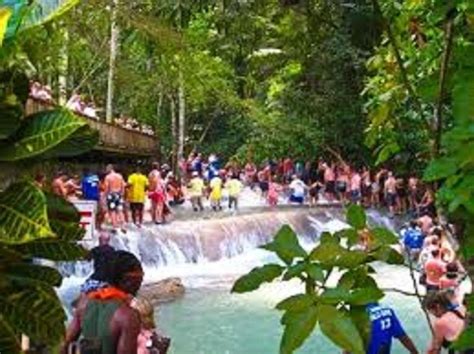 Dunn S River Falls Day Tour Getyourguide