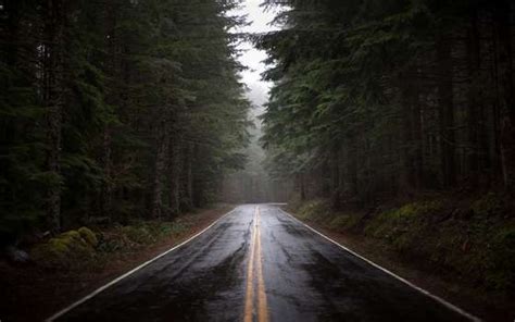La Route Dans La Forêt Après La Pluie Rain Wallpapers Rainy