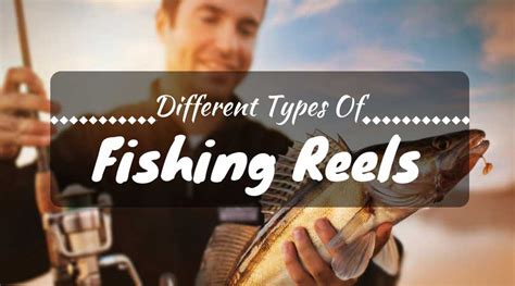 Different Types Of Fishing Reels All You Need To Know