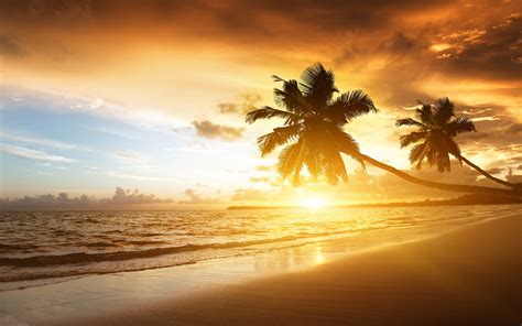 Sunset At Beach 2560 × 1600 Rwallpapers