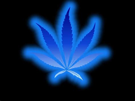 Neon Weed Wallpapers Top Free Neon Weed Backgrounds Wallpaperaccess