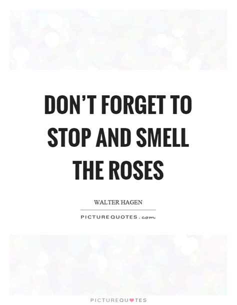 Maybe you would like to learn more about one of these? Don't forget to stop and smell the roses | Picture Quotes